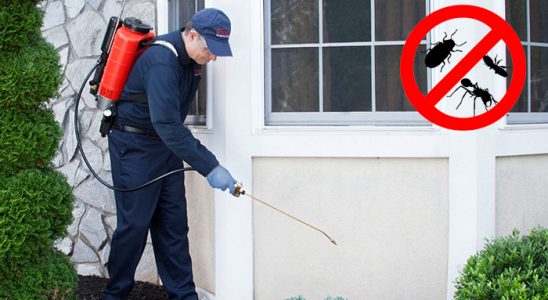 Evka 2 Bit İlaçlama böcek ilaçlama ve haşere kontrolü — ilaclama-tr.com